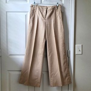 LOFT Ann Taylor stripped wide led dress pants